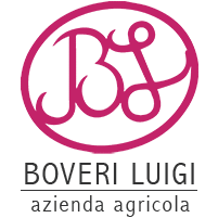 logo-33